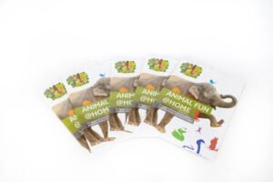 Animal Fun